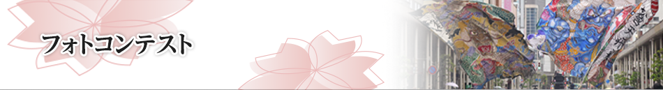 フォトコンテスト